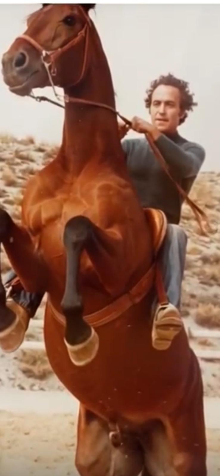 Felice Cultrera Scrittore contemporaneo - Foto